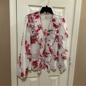 ZARA Blouse, Long sleeve Sheer NWOT